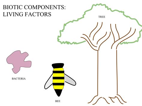 This abiotic & biotic factors color by number includes 10 questions covering the differences between living and nonliving factors in an ecosystem. 40+ Best Collections Ecosystem Drawing Easy For Kids ...
