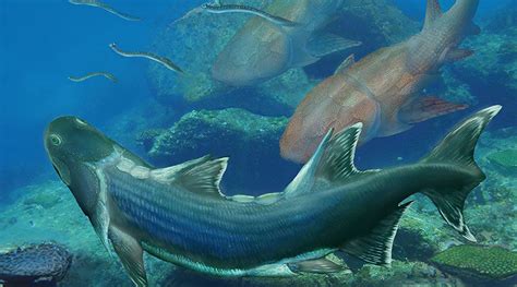 Sparalepis Tingi Scientists In China Have Discovered A Rare Fossil