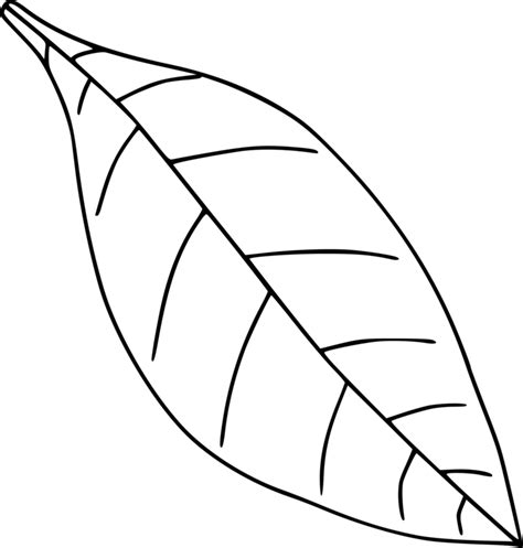 Leaf Outline Black And White