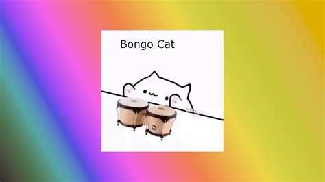 Cat Bongo Hot Meme Compilation Youtube