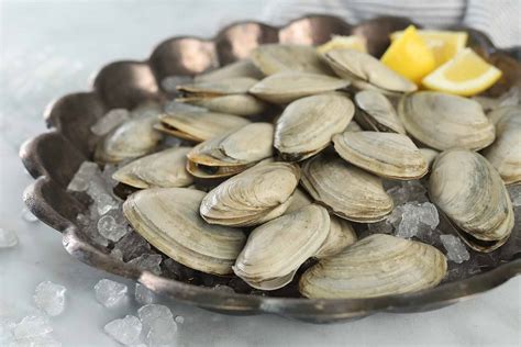 Maine Steamer Clams For Pickup Or Delivery Pine Tree Seafood