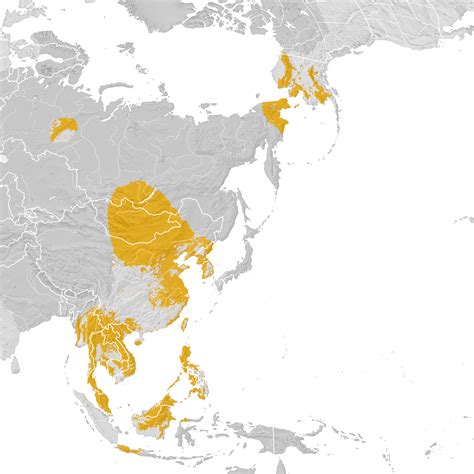 Arctic Warbler Range Map Pre Breeding Migration Ebird Status And