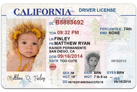 California Driver S License Editable Psd Template Download Herejfiles