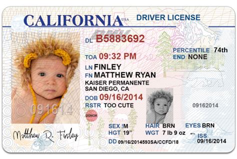 Free Drivers License Photoshop Template Pathfoz