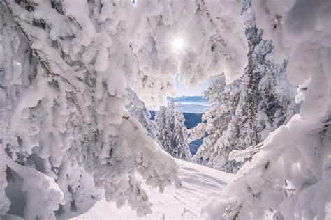 Amazing Winter Landscapes Csodálatos Téli Fotók Megaport Media