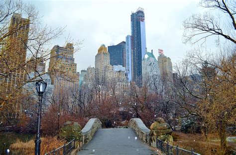 It was such a pleasant walk. My Walking Pictures: Late Winter Walk in Central Park