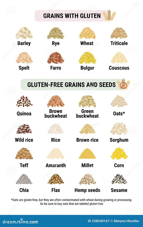 Gluten Free And Containing Gluten Grains Infographic Healthy And