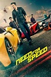 Descargar Need For Speed: La Película 2014 HD 1080p Latino y Castellano ...
