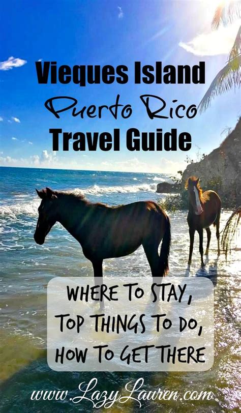 Vieques Puerto Rico Travel Guide Everything You Need To Know