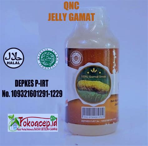 Jual Jelly Gamat Qnc Jelly Gamat Bukan Gold G Jakarta Depok