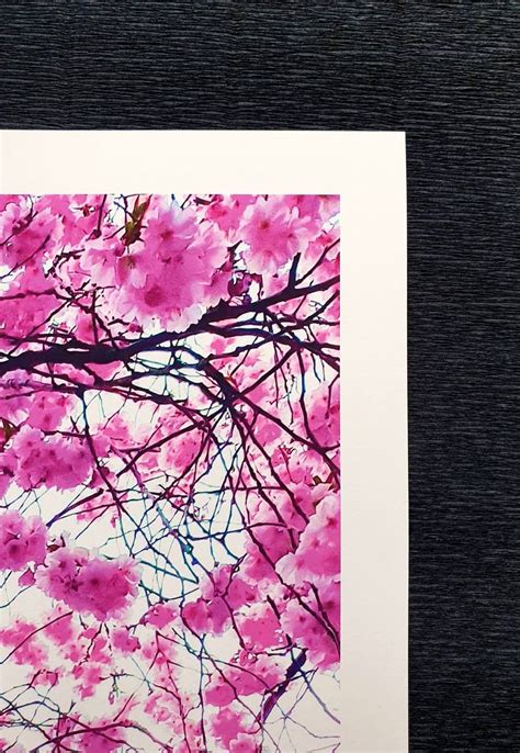 Sakura I Limited Edition Of Photography By Viet Ha Tran Saatchi Art