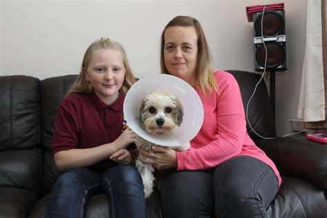 Find gifts and much more at johnlewis.com. Strood youngster Erin Russell saved pet dog poppy's life ...