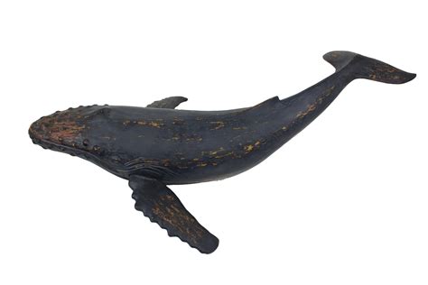 Lg Humpback Whale Resin Moby Dick Specialties