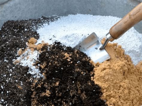 Ultimate Perlite Guide To Boost Your Garden In 2020