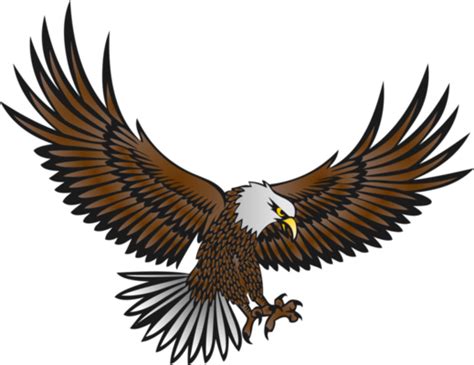 Eagle Logo Pngs For Free Download