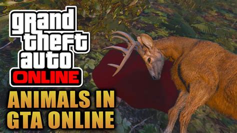 GTA Online - "ANIMALS" In Grand Theft Auto Online!? - Leaked GTA 5