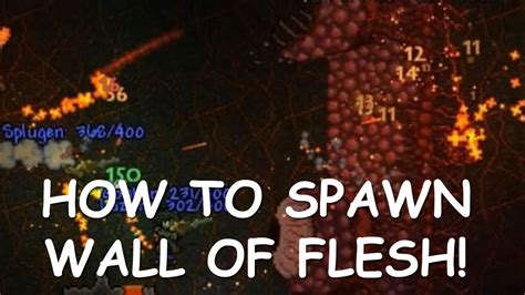 Terraria Wall Of Flesh Spawn Guide Pwnhammer Youtube