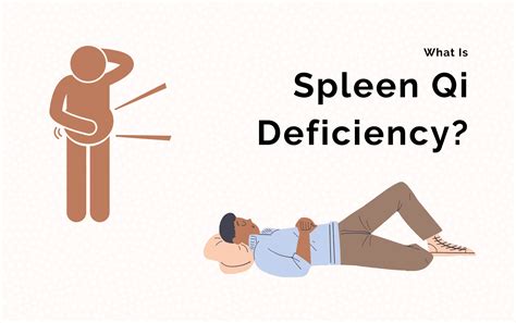 The Best Diet For Spleen Qi Deficiency Karinokada