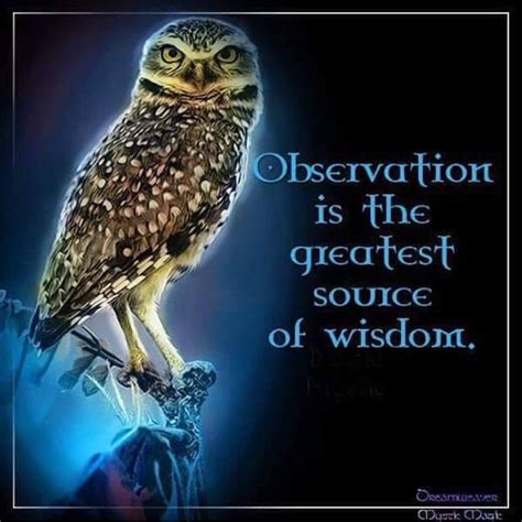 Observation Is The Greatest Source Of Wisdom Be Quiet And Observe