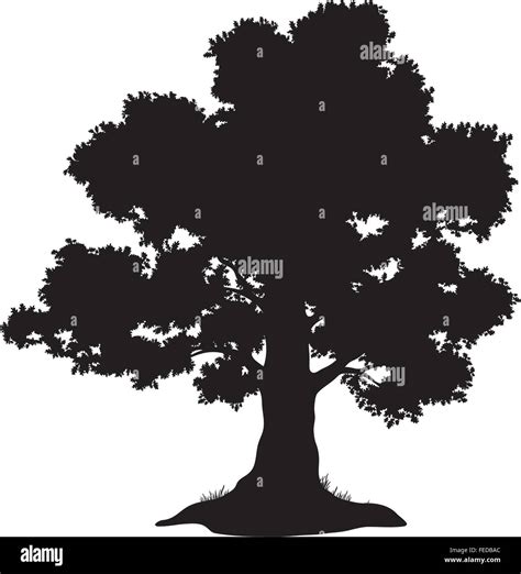 Oak Tree And Grass Silhouette Stock Vector Image And Art Alamy