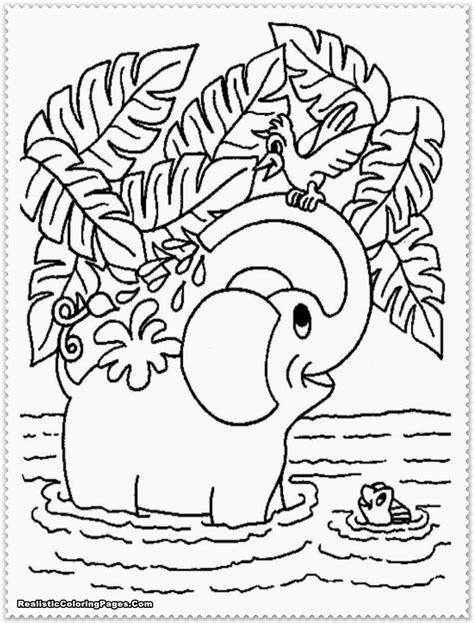 Realistic Jungle Animal Coloring Pages Elephant Coloring Page Animal