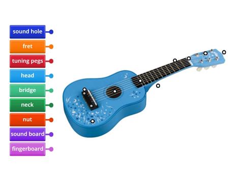 The Guitar Elements Labelled Diagram