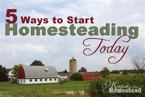 5 Ways To Start Homesteading Today Keeper Of The Homestead