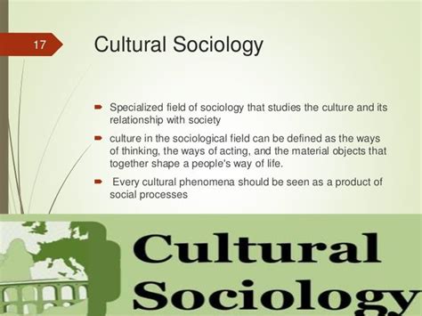 Relationship Between Culture And Society