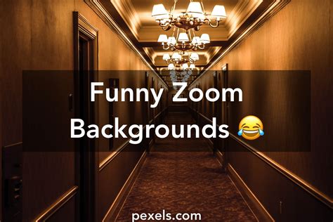 How to turn your zoom background christmassy, for when your work meeting needs some festive cheer. Funny Zoom Backgrounds 😂 · Pexels