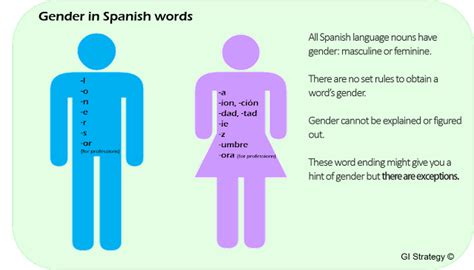Speak Spanish Gender In Spanish Language Words