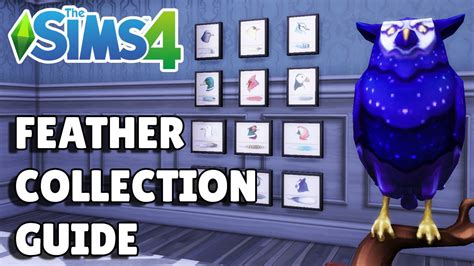 How To Collect Feathers In The Sims 4 Collection Guide Youtube