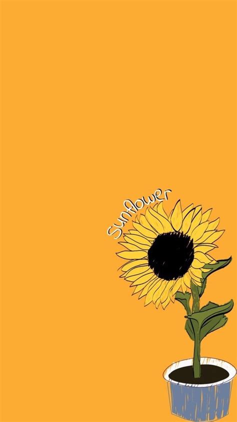 Cartoon Sunflower Wallpaper Aesthetic