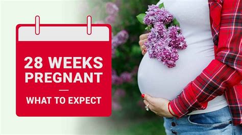 28 weeks pregnant what to expect youtube