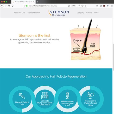 Stemson Therapeutics Web Site Talewind Brand Story Creative Content
