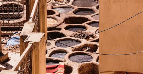Tannery Pits In Fez Morocco · Free Stock Photo