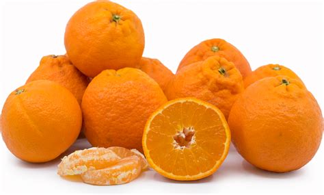 Perfection Tangerine Information, Recipes and Facts