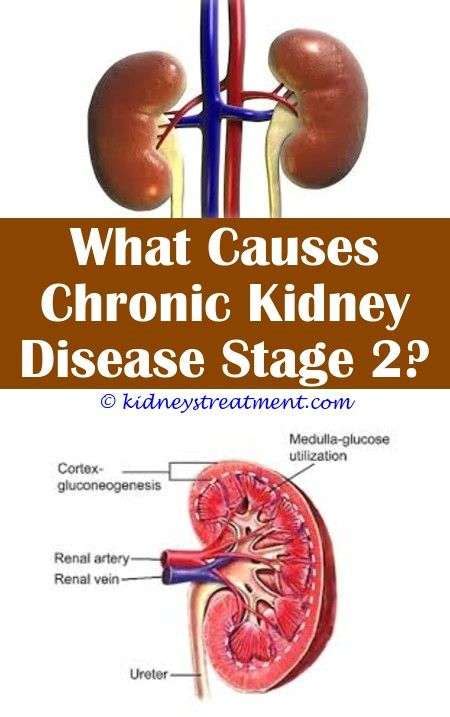 What Causes A Bruised Kidney