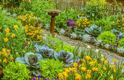 Master Gardener Add Vegetables To Your Flower Beds For