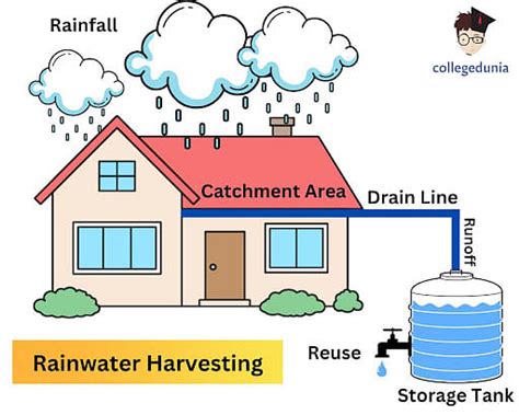 rainwater harvesting process advantages and disadvantages