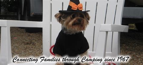 Save big on a wide range of dripping springs hotels! Pet Friendly Cape Cod RV Campground. New Dog Park! Bay ...