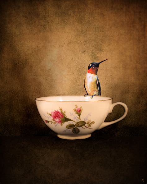 Tea Time With A Hummingbird 2 Photograph By Jai Johnson Fine Art America