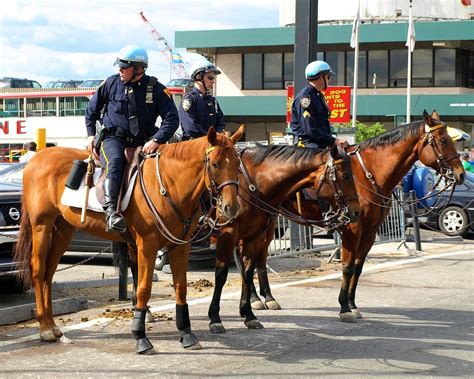 Pmu Nypd Mounted Police Officers On Horseback At 42nd Street New York