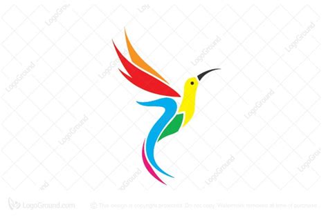 Humming Bird Colorful Logo