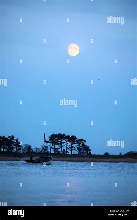 Moon Over Wells Next The Sea Beach Pine Trees Wells Next The Sea