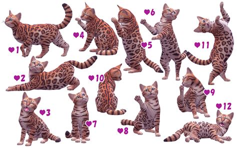 Best Sims 4 Pet Poses For Dogs And Cats All Free Fandomspot