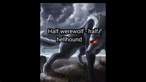 Half Werewolf Half Hellhound Teen Wolf Subliminal Loud