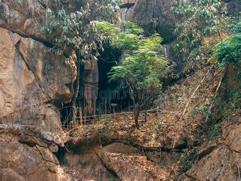 Cueva En Bosque Foto De Archivo Imagen De Paisaje Hierba 22687282