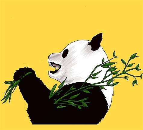 Cool Panda By Hana S Redbubble