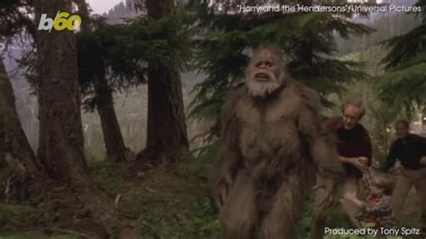 Seeking Bigfoot Legend Of Sasquatch In North Carolina