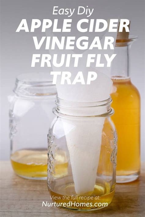 Diy Apple Cider Vinegar Fruit Fly Trap This Really Works Nurtured